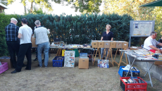 In Sachen "Elvis" konnte auch gestöbert werden!