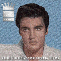 I Am An Elvis Fan