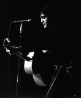 The Elvis Files - Volume 5